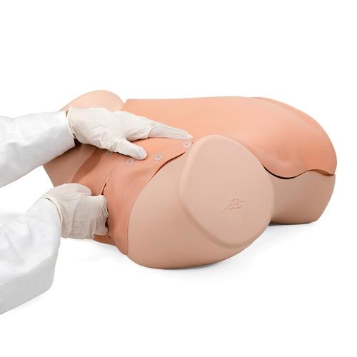 3B Scientific Gyneacologische vaardigheidstrainer - Gynecologic Skills Trainer, foto 5 van 6