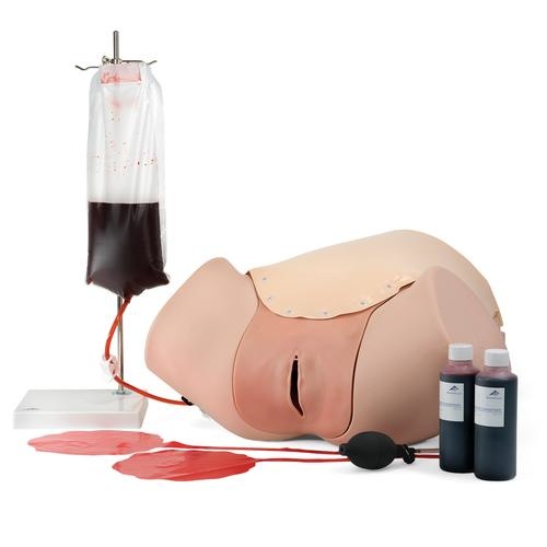 3B Scientific Hemorrhagia postpartum trainingsmodel - HPP trainingsmodel P97
