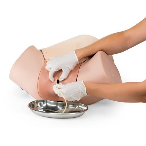 3B Scientific Hemorrhagia postpartum trainingsmodel - HPP trainingsmodel P97, foto 6 van 6