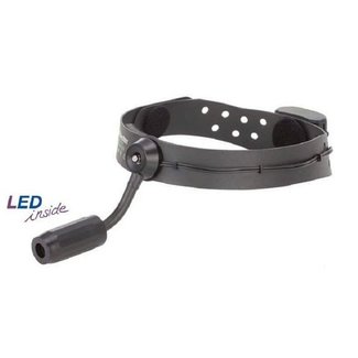 Riester LED Voorhoofdlamp RiFocus incl. lithium batterijen