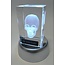 3D model van de menselijke schedel in glazen blok