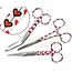 Satillo Verpleegkundige Scharenset Healing Hearts – Verbandschaar, Chirurgische Schaar & Kocher (met Naam)
