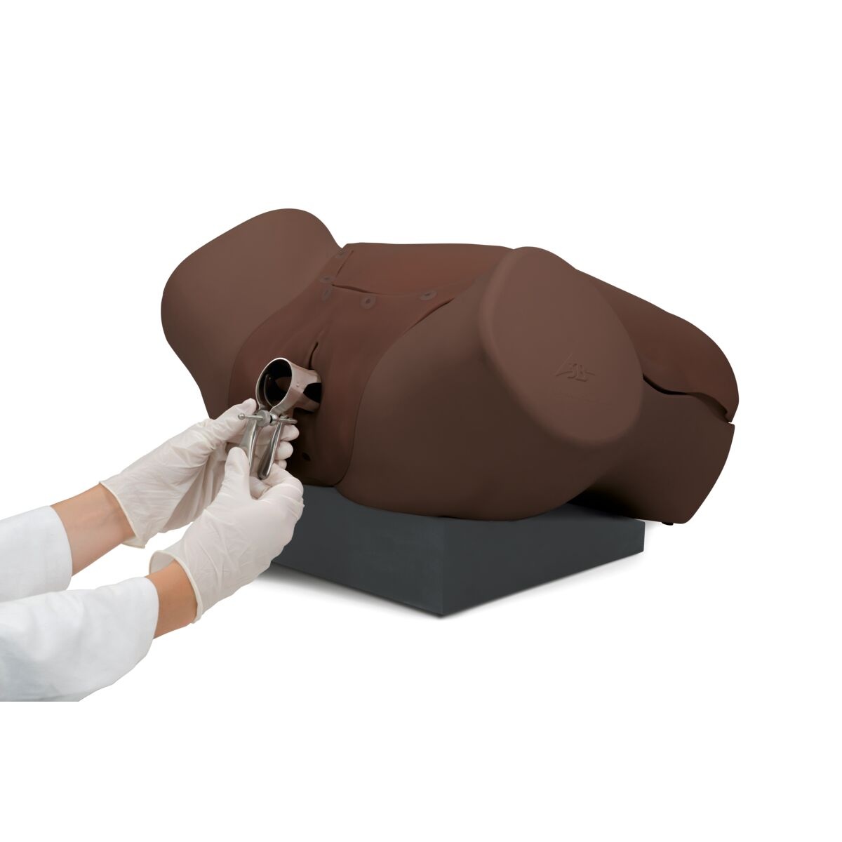 3B Scientific Gyneacologische vaardigheidstrainer - Gynecologic Skills Trainer, foto 4 van 6