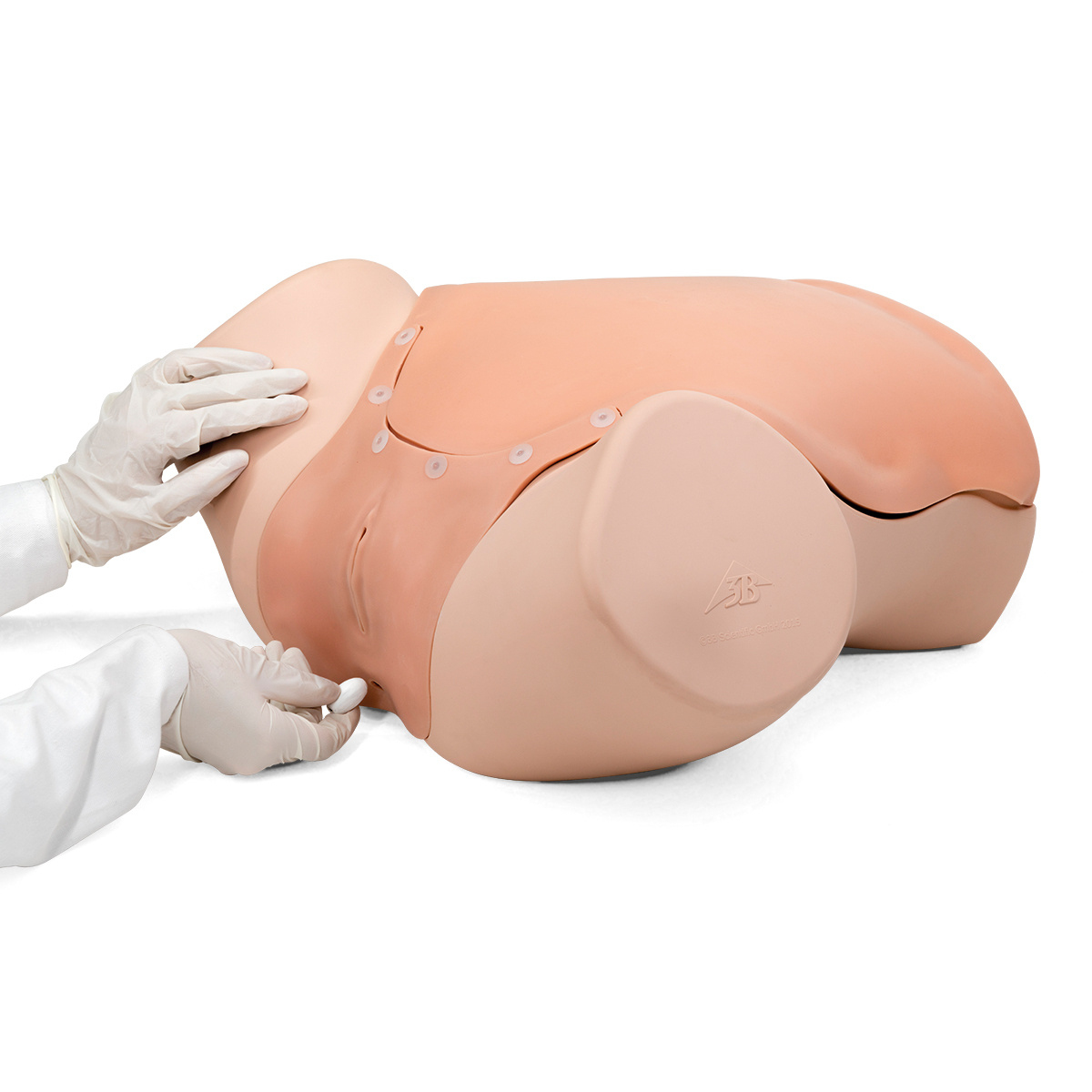 3B Scientific Gyneacologische vaardigheidstrainer - Gynecologic Skills Trainer, foto 6 van 6