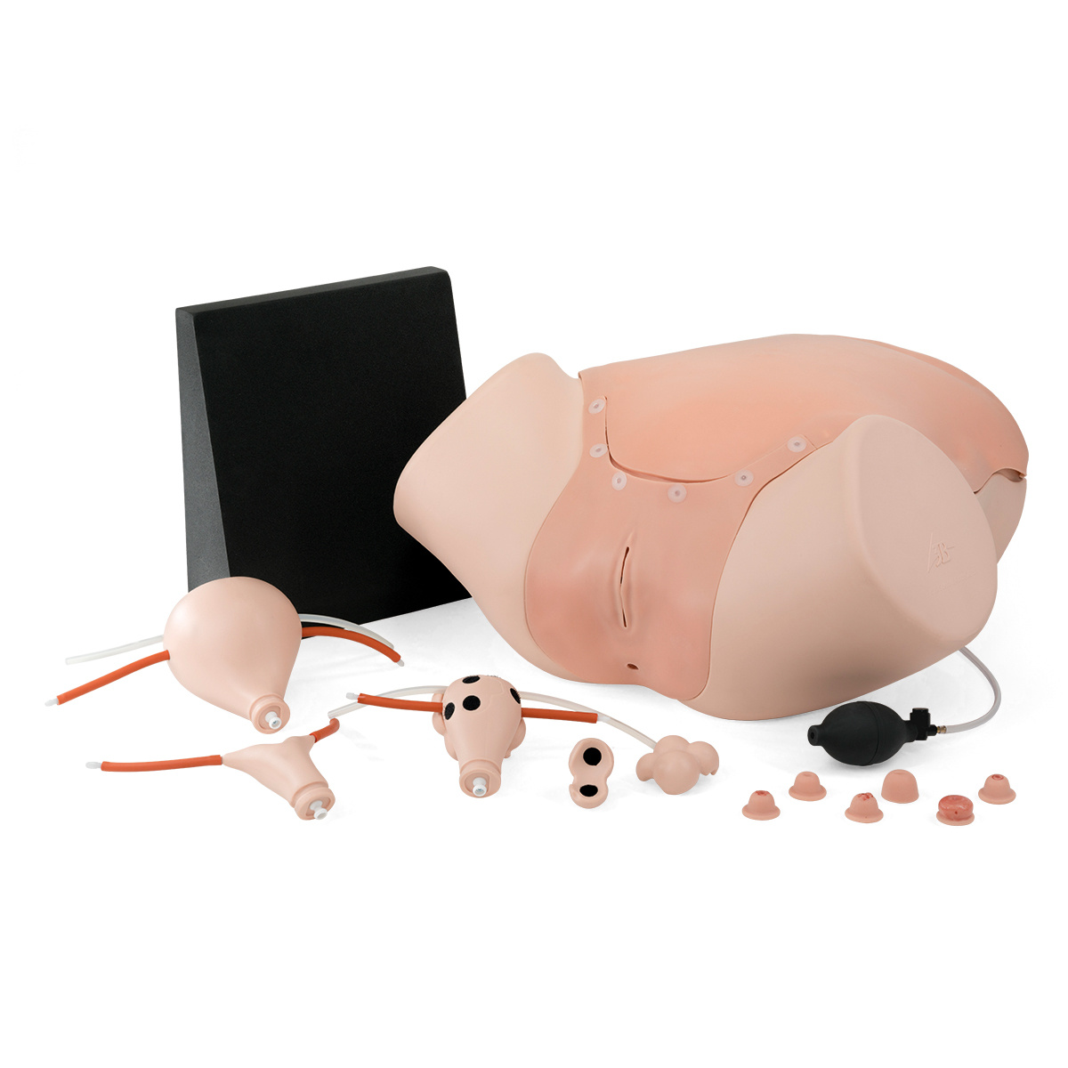 3B Scientific Gyneacologische vaardigheidstrainer - Gynecologic Skills Trainer