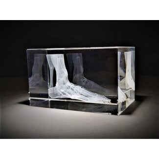 3D model van de voet in glazen blok