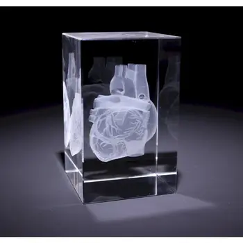 Glazen Blokken met 3D modellen