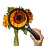 Vergrootglas met Ultra Helder COB-LED Verlichting - 10,5 cm, Met Bifocale Lens
