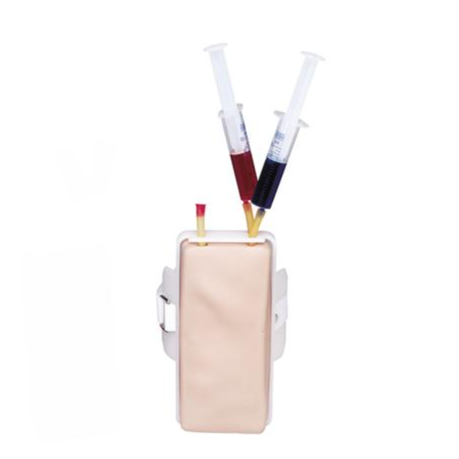 3B Intra veneuze injectie Trainer - Venatech IV Trainer