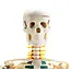Anatomisch Skelet | 85 cm | Met zenuwwortels, halsslagaders en herniaschijf | Budget model