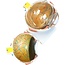 Anatomisch model van het Oog 6 x vergroot