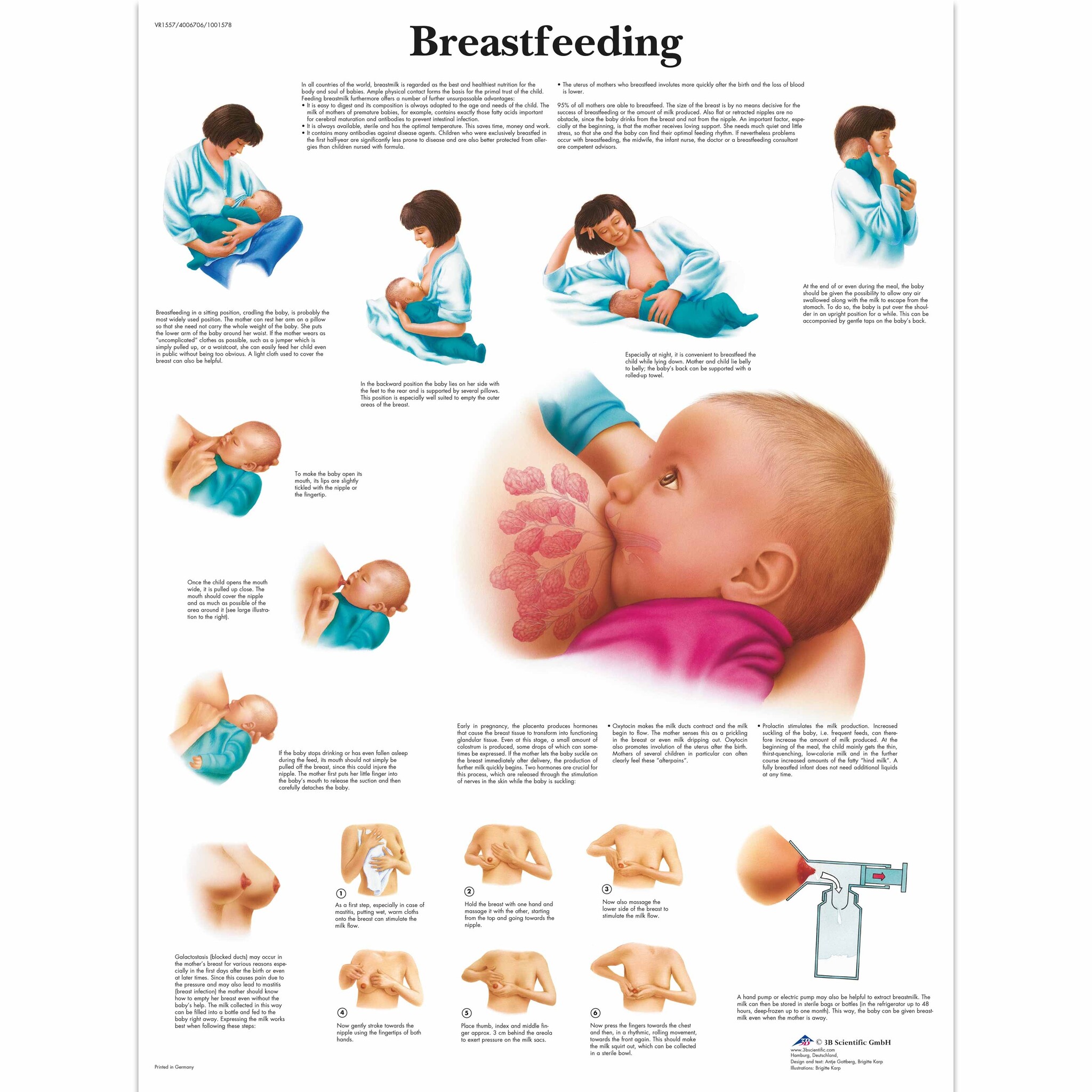 3B Poster | Borstvoeding | Engelstalig