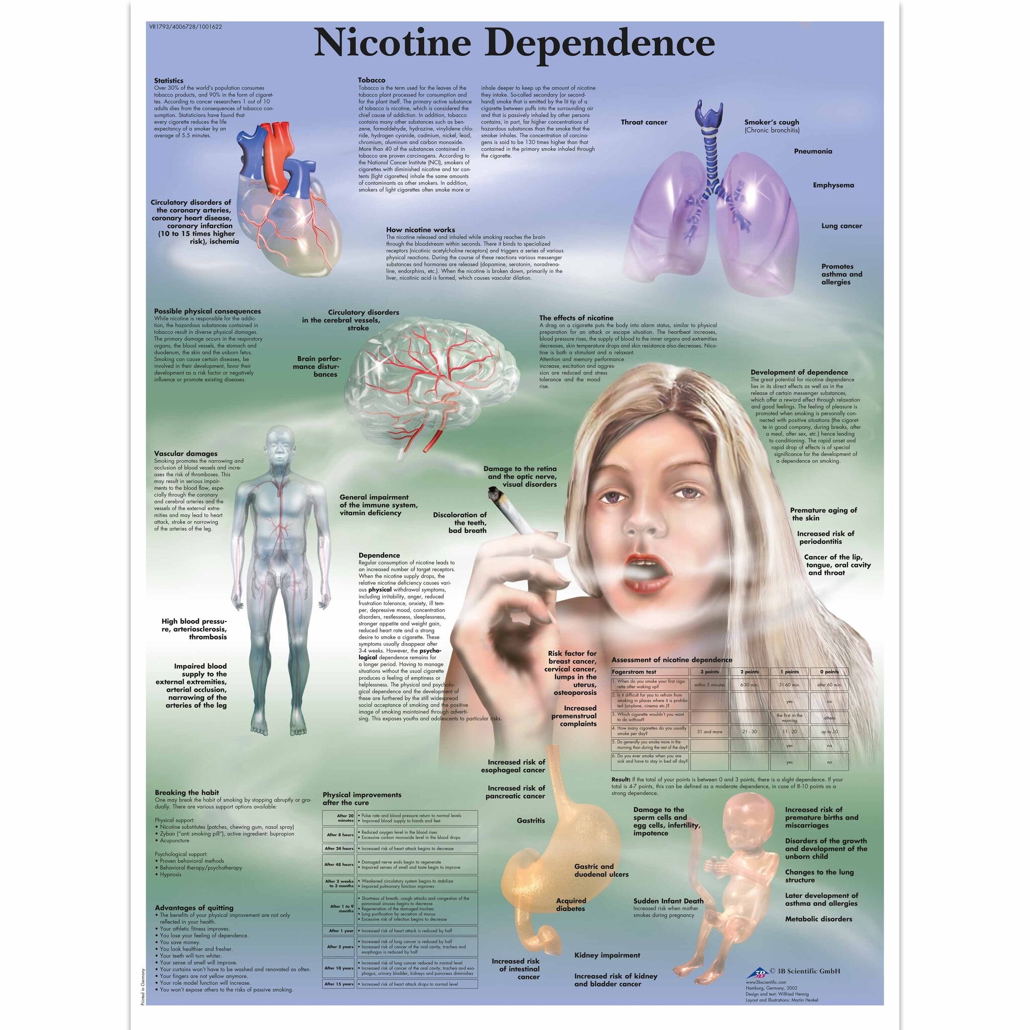 3B Poster | Nicotine-afhankelijkheid } Engelstalig