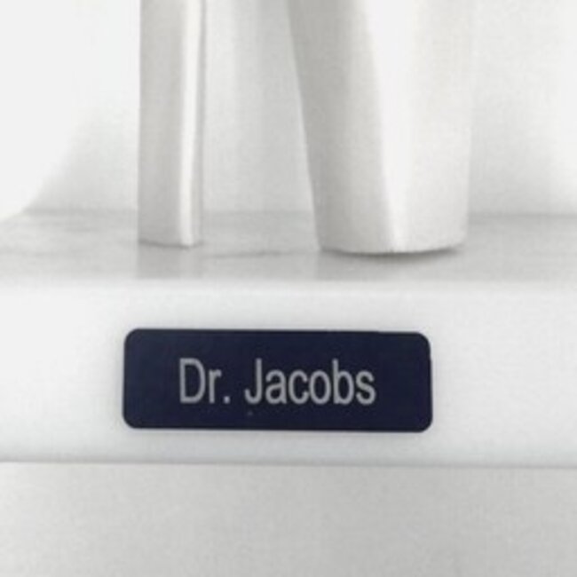 3B Scientific Torso Unisex deLuxe met hoofd 14 delig 87cm - 3B Scientific