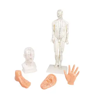 Chinese acupunctuurset, 5 modellen
