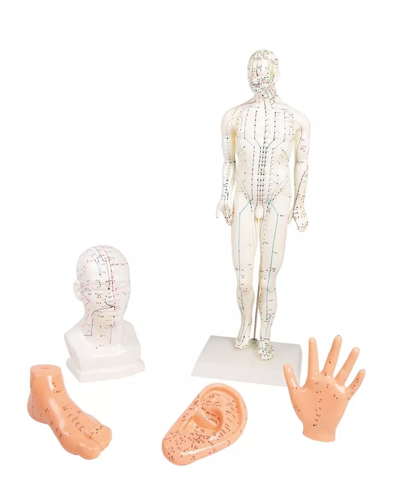 Chinese acupunctuurset, 5 modellen