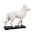 Acupunctuur model van een Hond - 30cm