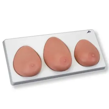 Borstonderzoek