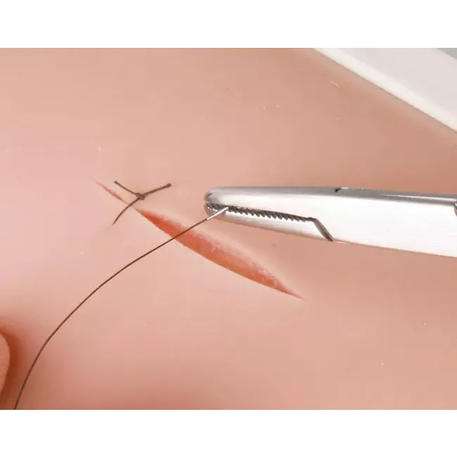 Erler Zimmer Oefenhechthuid op kunstvoet met zuignappen