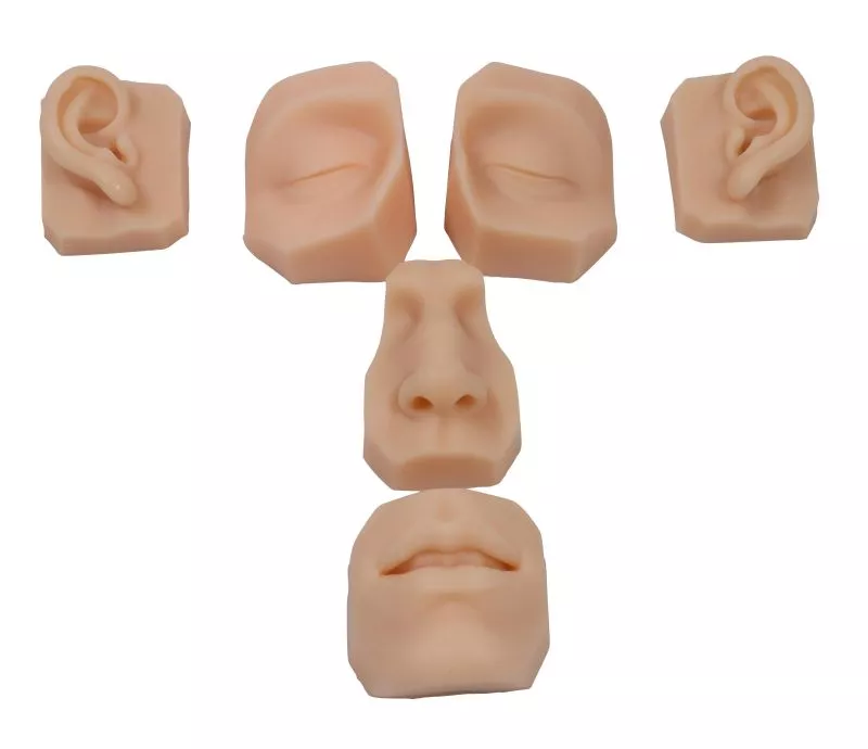 Gezichtsdelen voor hecht en/of pearcingtraining (6 stuks)