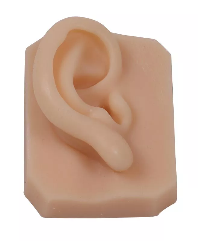 Gezichtsdelen voor hecht en/of pearcingtraining (6 stuks), foto 2 van 5