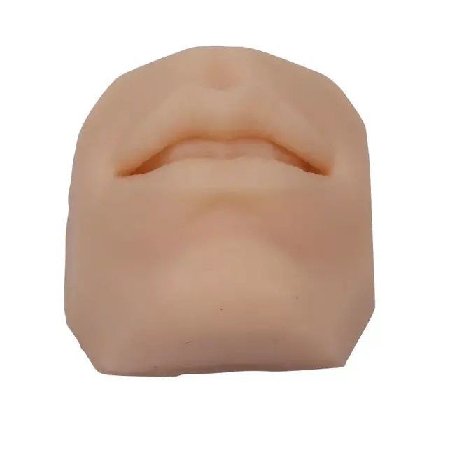 Gezichtsdelen voor hecht en/of pearcingtraining (6 stuks)