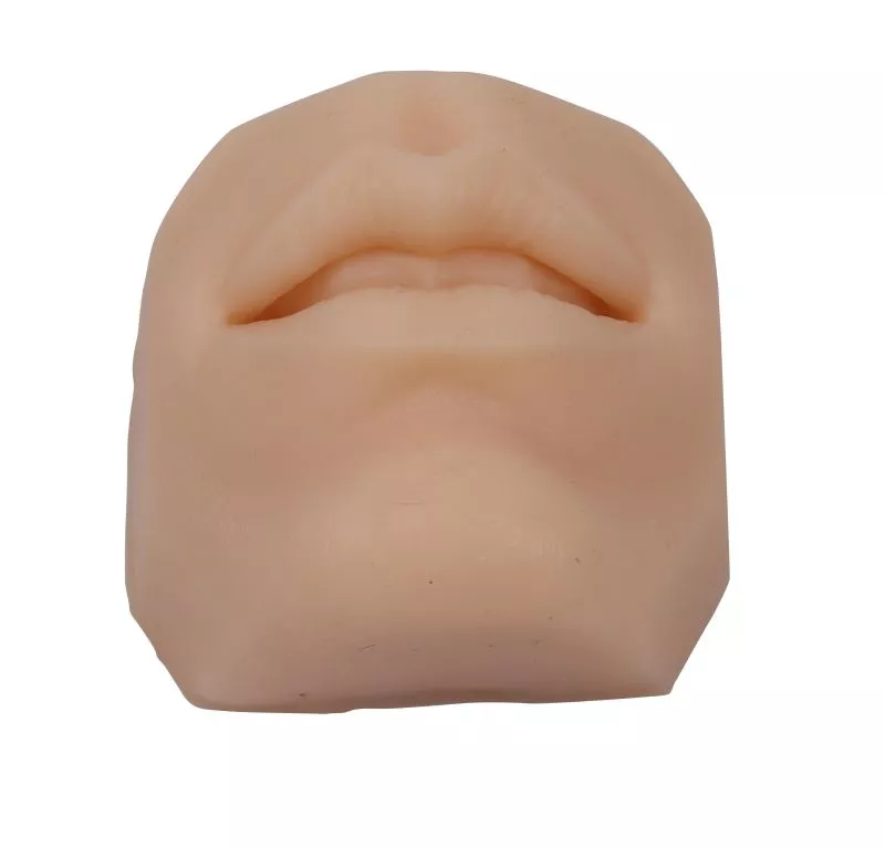 Gezichtsdelen voor hecht en/of pearcingtraining (6 stuks), foto 5 van 5