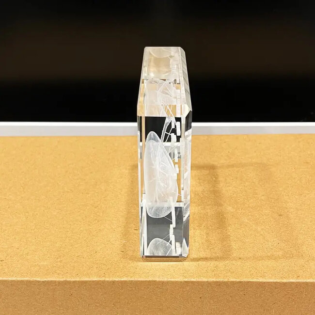 3D model van de menselijke longen met benaming - in glazen blok