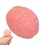 Squishy Brain- Antistress squeeze speelgoed hersenen