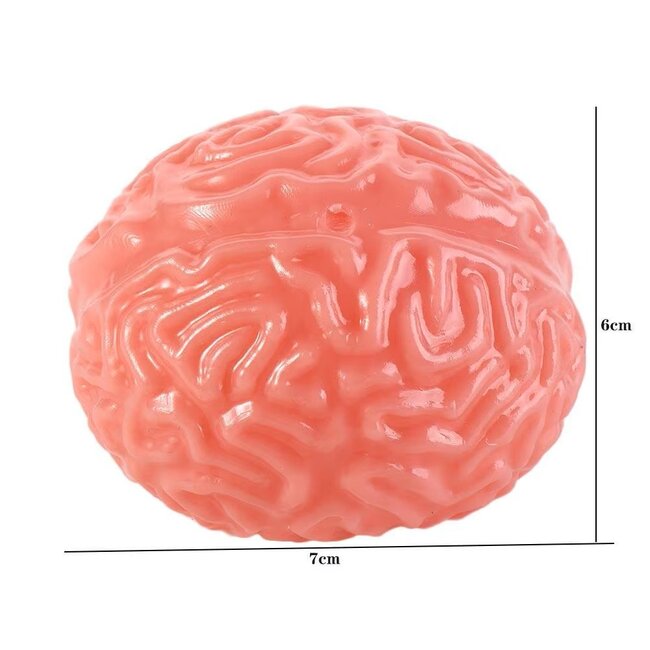 Squishy Brain- Antistress squeeze speelgoed hersenen