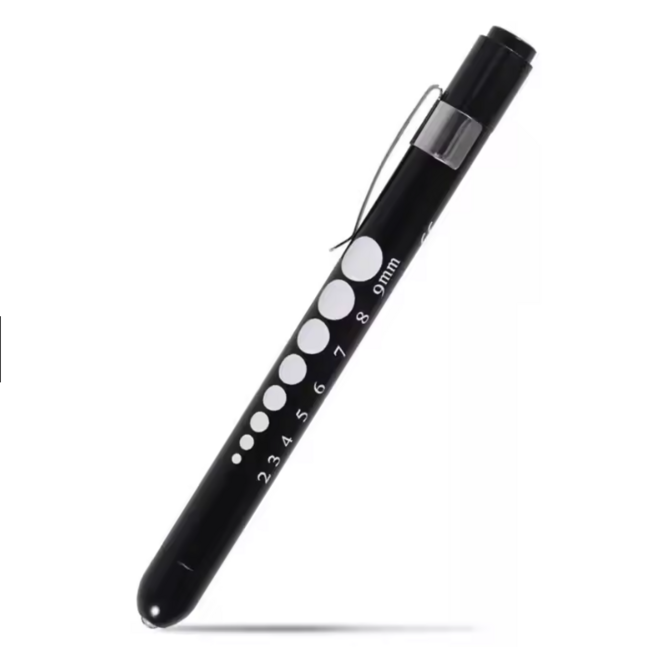 LED Penlight / Pupillampje Bolkop – Zwart (met drukknop)