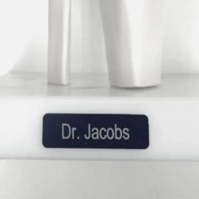 Anatomisch model schedel - met 8-delig uitneembaar brein