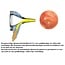 Heine Beta 200 XHL Otoscoopkop los