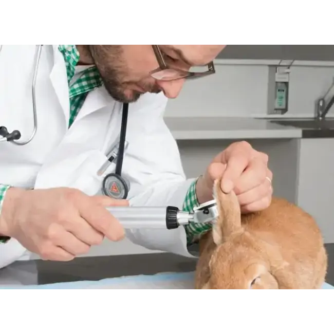 Heine HEINE G100 Veterinaire Otoscoop Set 3,5V XHL met BETA4 USB oplaadbaar handvat