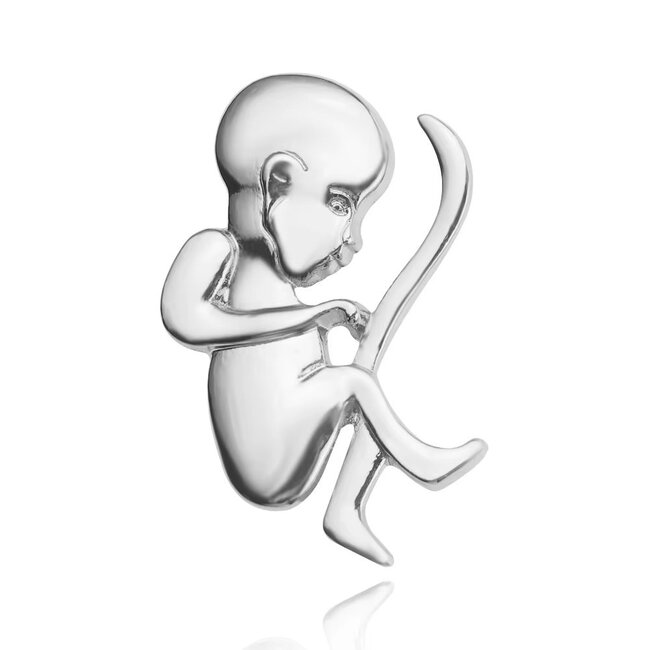 Speldje van een foetus