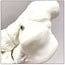 Anatomisch model van de Voet, ware grootte - Budget model