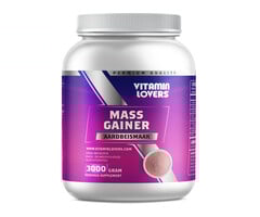 SportSupplementsXL - MASS GAINER AARDBEI