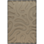 Petterns Plants
