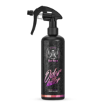 RR Customs Bad Boys | Odor Killer 500ml