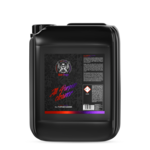 RR Customs Bad Boys | All Purpose Cleaner Parfumed 5L