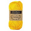 Catona 50 - 208 - Yellow Gold