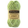 Spirit 307 - Grasshopper
