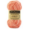 Spirit 313 - Salmon
