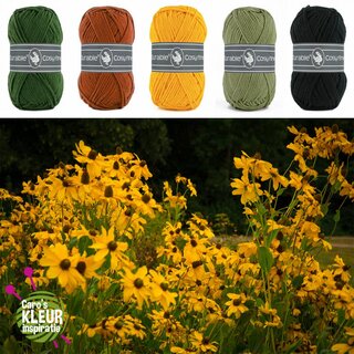 Durable Caro's Kleurinspiratie 02