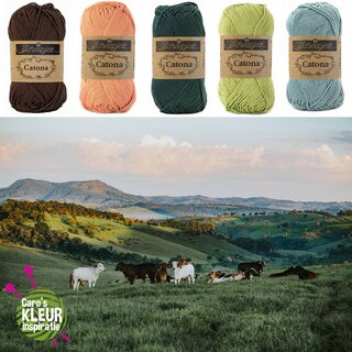 Caro's Kleurinspiratie 15