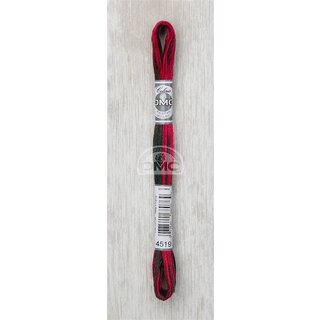 DMC 4519 Mouline Coloris
