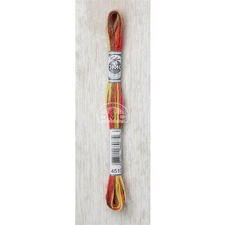 DMC 4510 Mouline Coloris