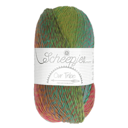 Scheepjes Our Tribe 986 - Energise