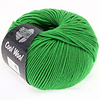 Cool Wool 504 - Appelgroen