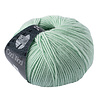 Cool Wool 2056 - Zachtgroen